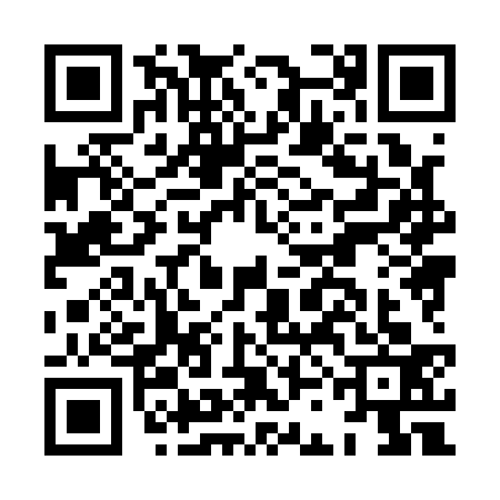 QR code for HCH1333