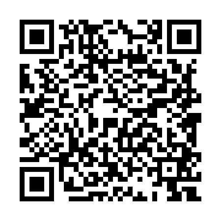 QR code for HCL9413