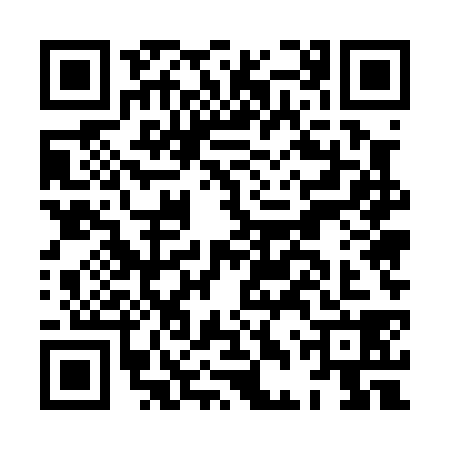 QR code for HDU0381