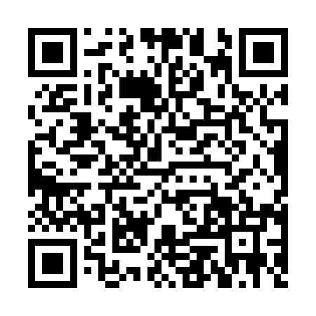 QR code for HEN0950