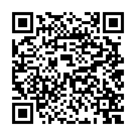 QR code for HFG0273