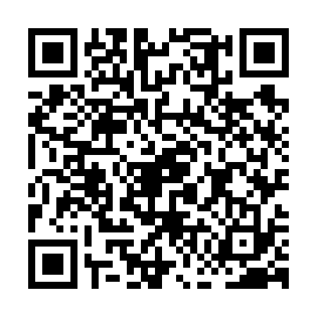 QR code for HGO6333