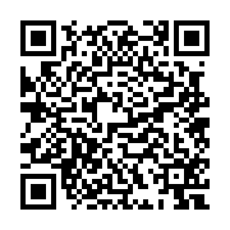 QR code for HHR0161