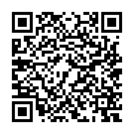 QR code for HIE1665