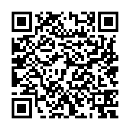 QR code for HIE9385