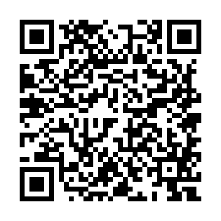 QR code for HIE9856