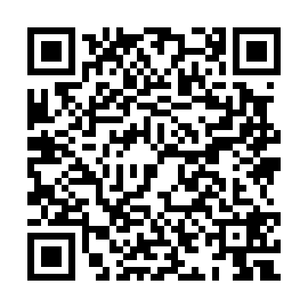 QR code for HII0287