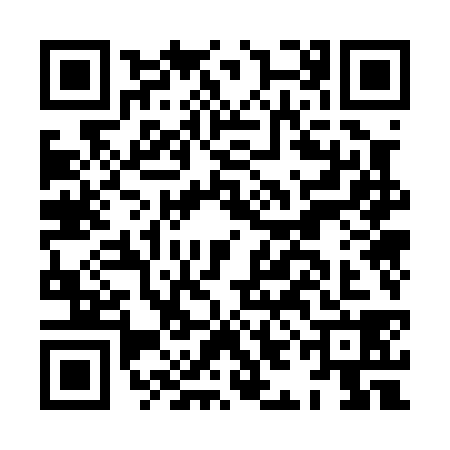 QR code for HIO0384