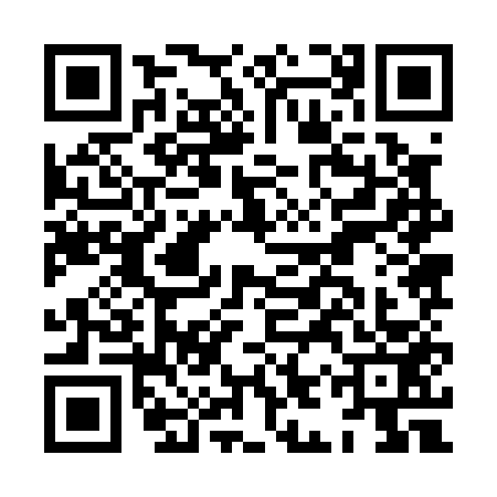 QR code for HIZ0539