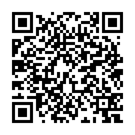 QR code for HJC2334