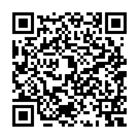 QR code for HJP3913