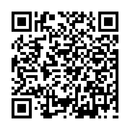 QR code for HJV2313
