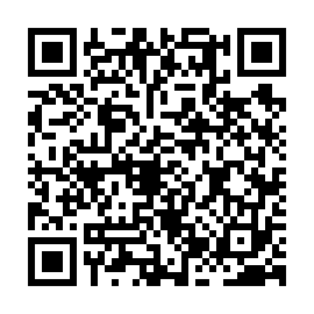 QR code for HJV6733