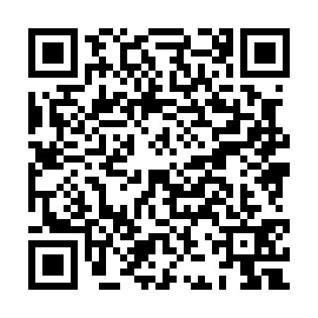 QR code for HJX0311