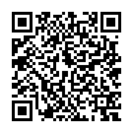 QR code for HKU0335