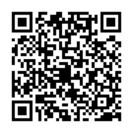 QR code for HLI5493