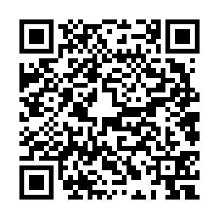 QR code for HLV6313