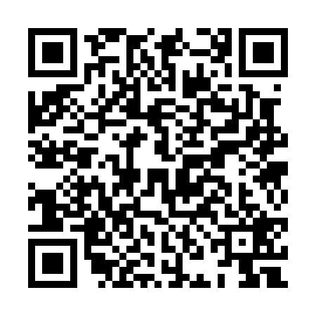 QR code for HNC0295