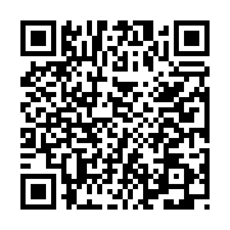 QR code for HNN0028