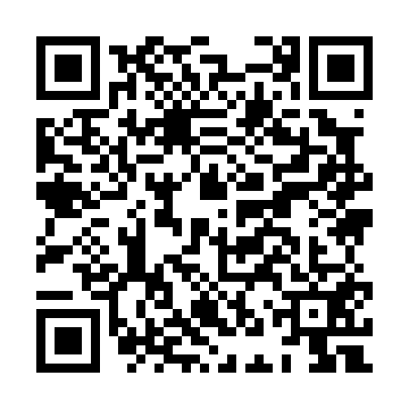 QR code for HNY0513
