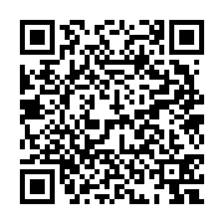 QR code for HOC6313