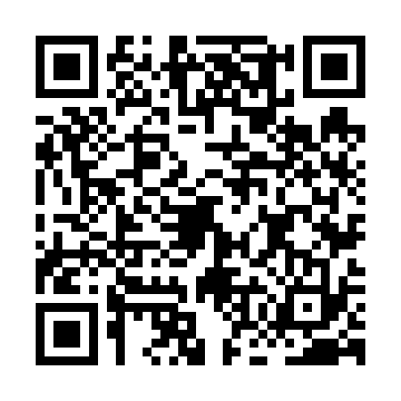 QR code for HON6338