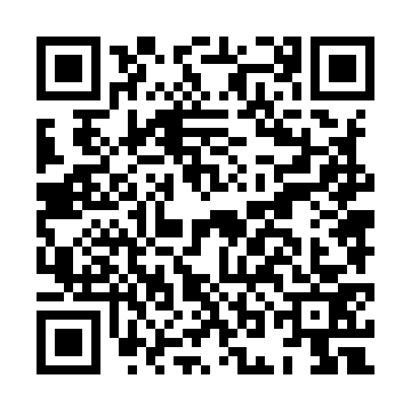 QR code for HON9738