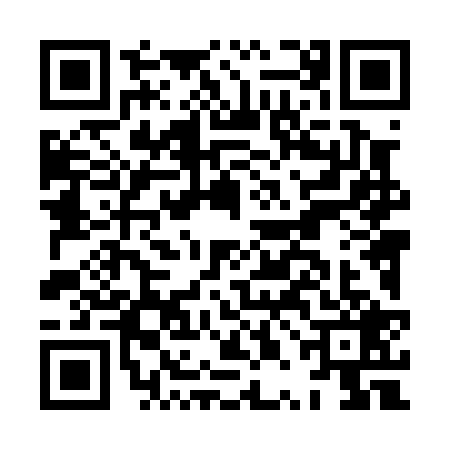 QR code for HPL0295