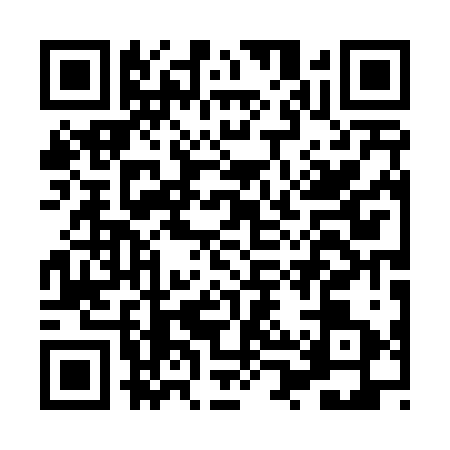 QR code for HPP4239