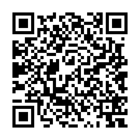 QR code for HQD0295