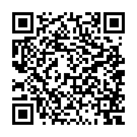 QR code for HSZ3868