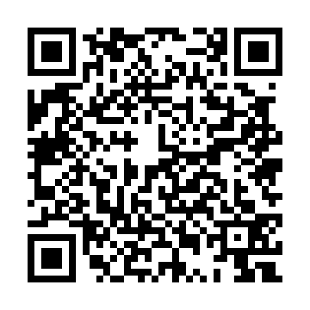 QR code for HUE0338