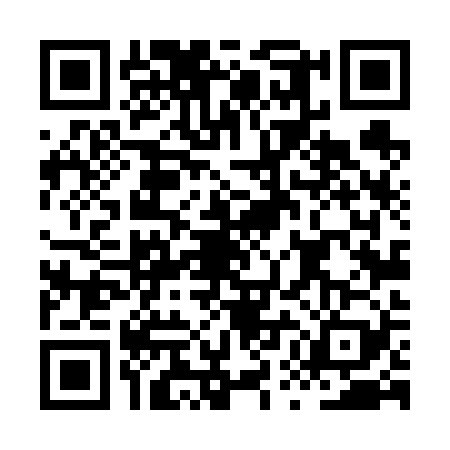 QR code for HUL6290
