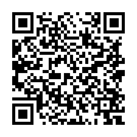QR code for HYI8438