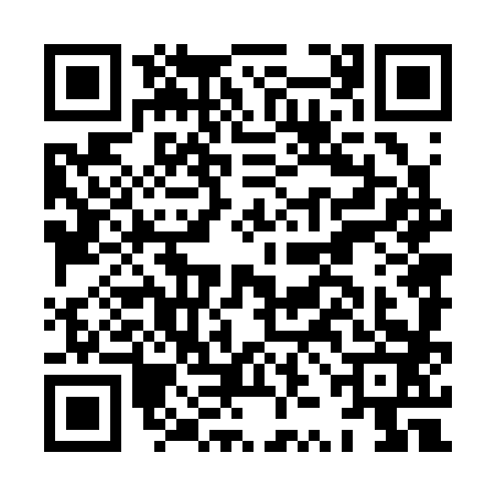 QR code for HZN3832