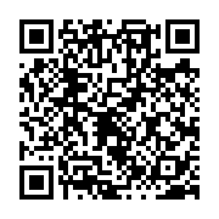 QR code for HZT6385