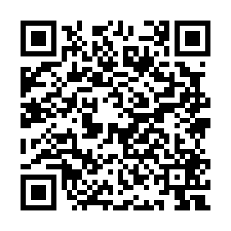 QR code for IAI0493