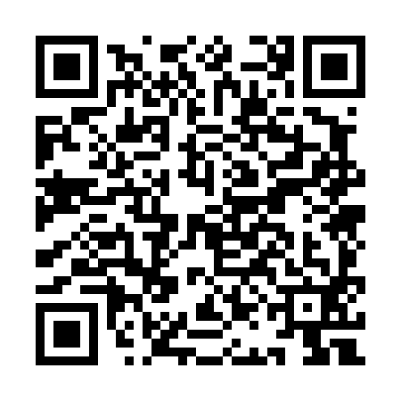 QR code for IAO4920
