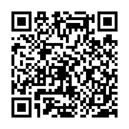 QR code for IAU6578