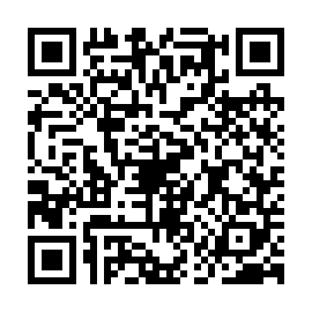 QR code for IAW2489