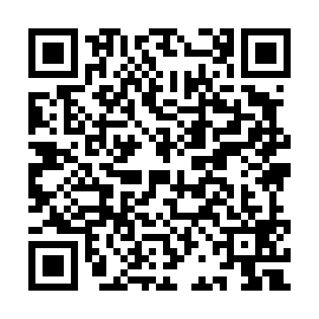 QR code for IBI4993