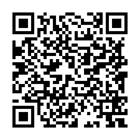 QR code for IBL8699