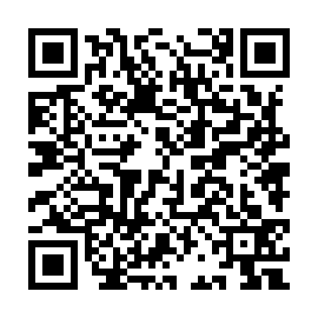 QR code for IBN9333