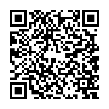QR code for IBV0633