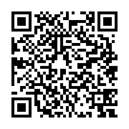 QR code for IBZ6384