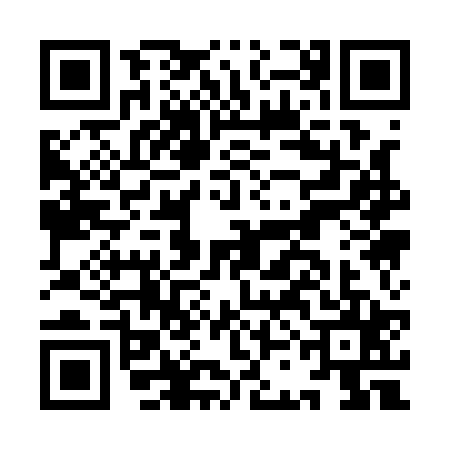 QR code for ICA1251