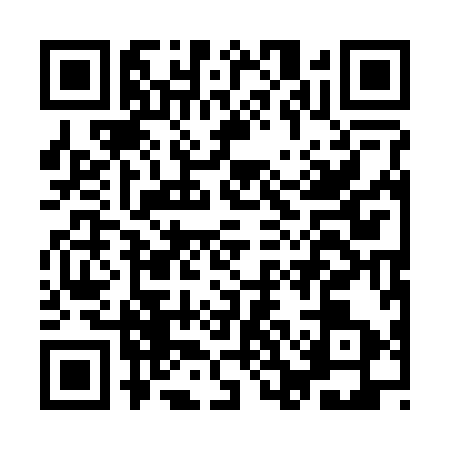 QR code for ICA2935