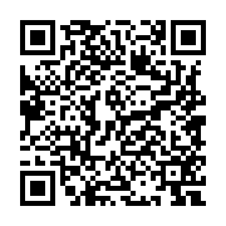 QR code for ICD9565