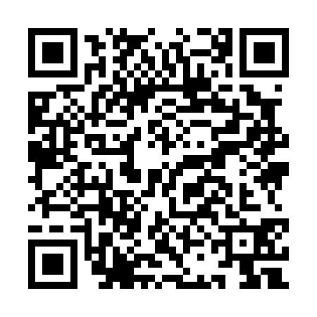 QR code for ICI0303