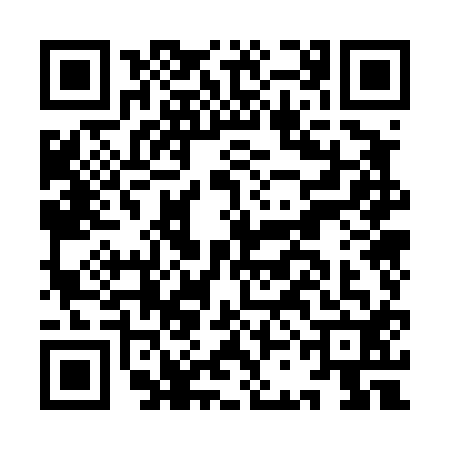 QR code for ICO4128